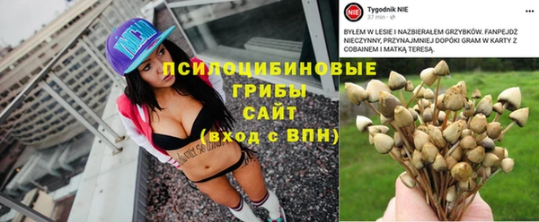 амф Абдулино