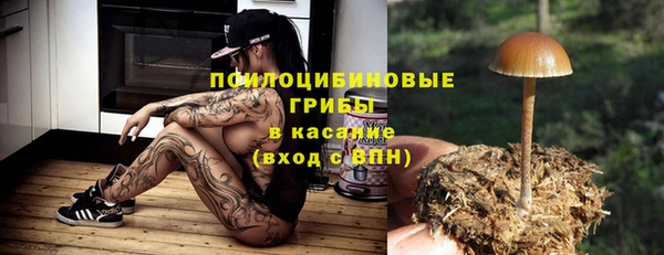 амф Абдулино